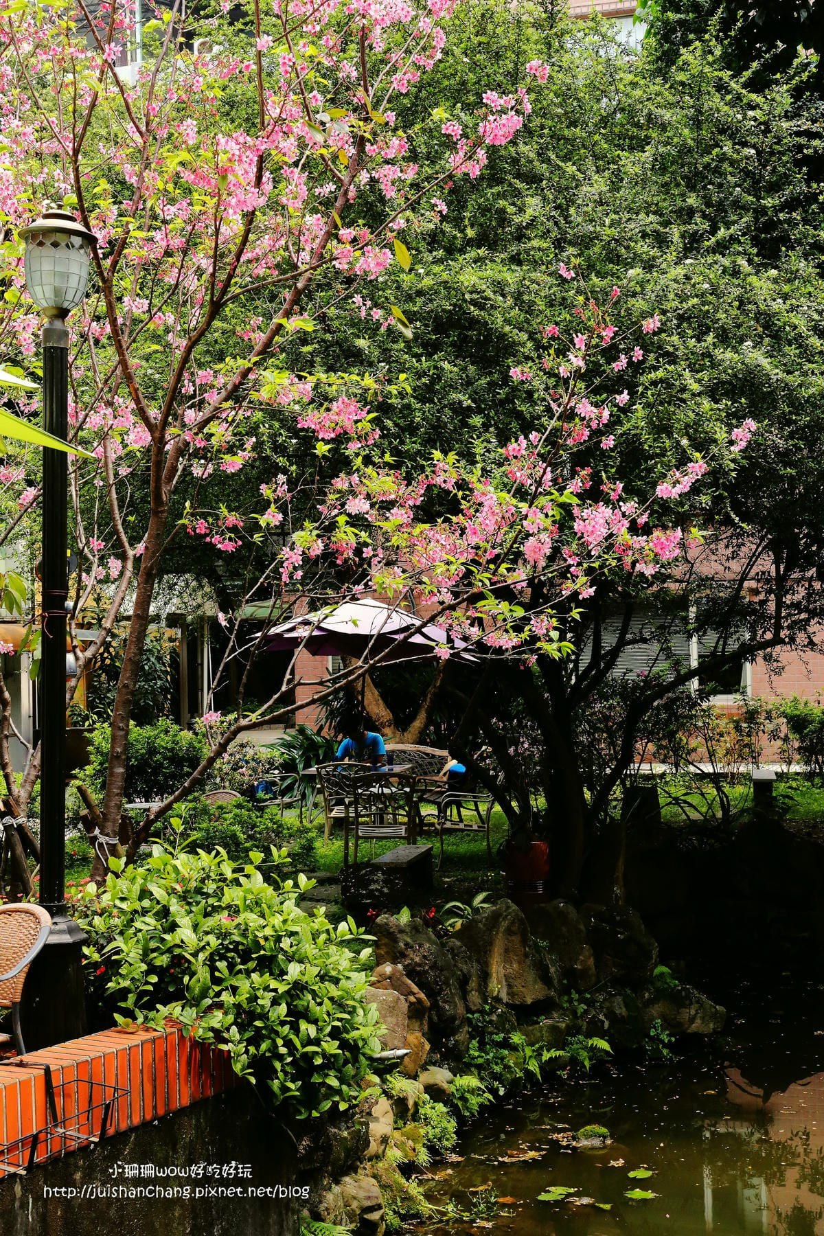 【食║中永和】楊三郎美術館&咖啡廳～中永和的隱藏景點。以畫家命名的咖啡廳，讓你環繞在博物館氛圍裡享用下午茶，一場華麗的藝術饗宴！(已歇業)