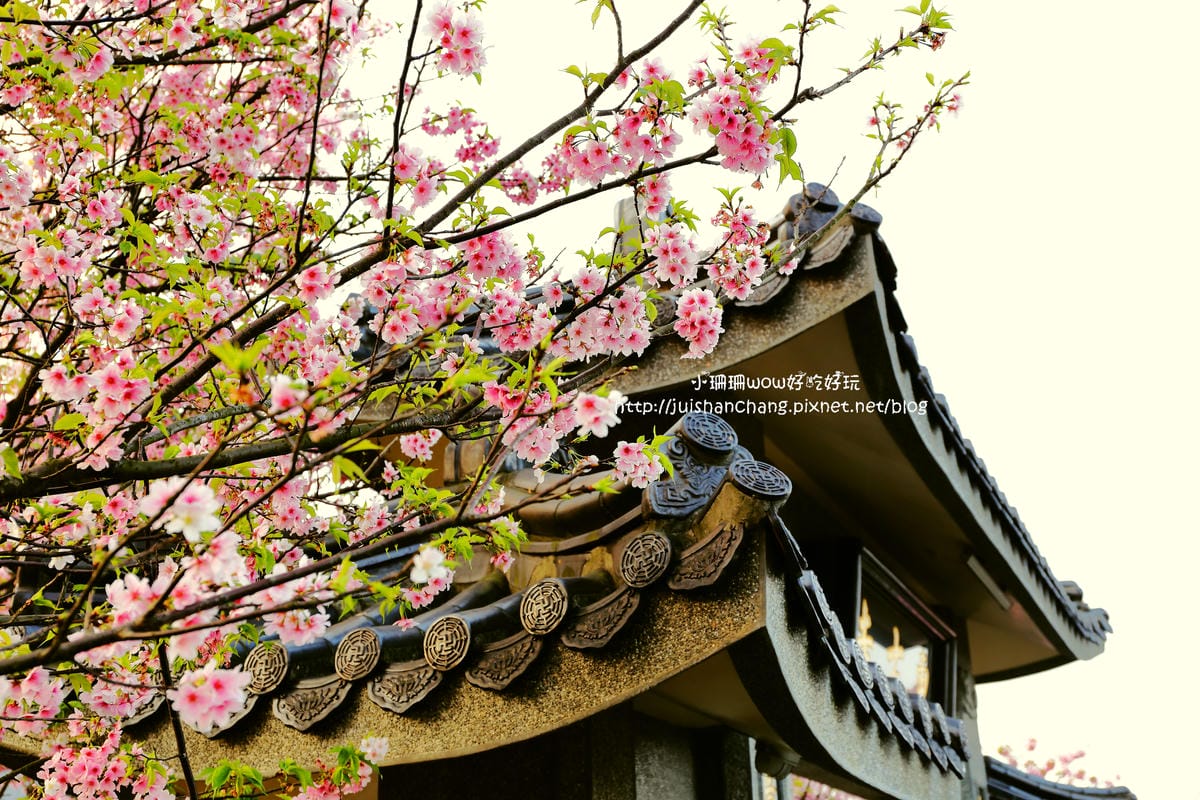 【遊。陽明山】東方寺～「櫻」姿煥發！吉野櫻、紫藤花盛開中，把握最後賞櫻時機！（105.4.7花況）　