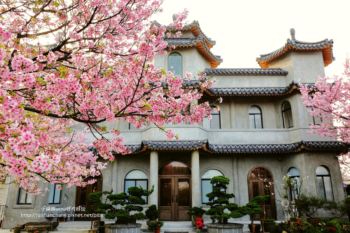 【遊。陽明山】東方寺～「櫻」姿煥發！吉野櫻、紫藤花盛開中，把握最後賞櫻時機！（105.4.7花況）　