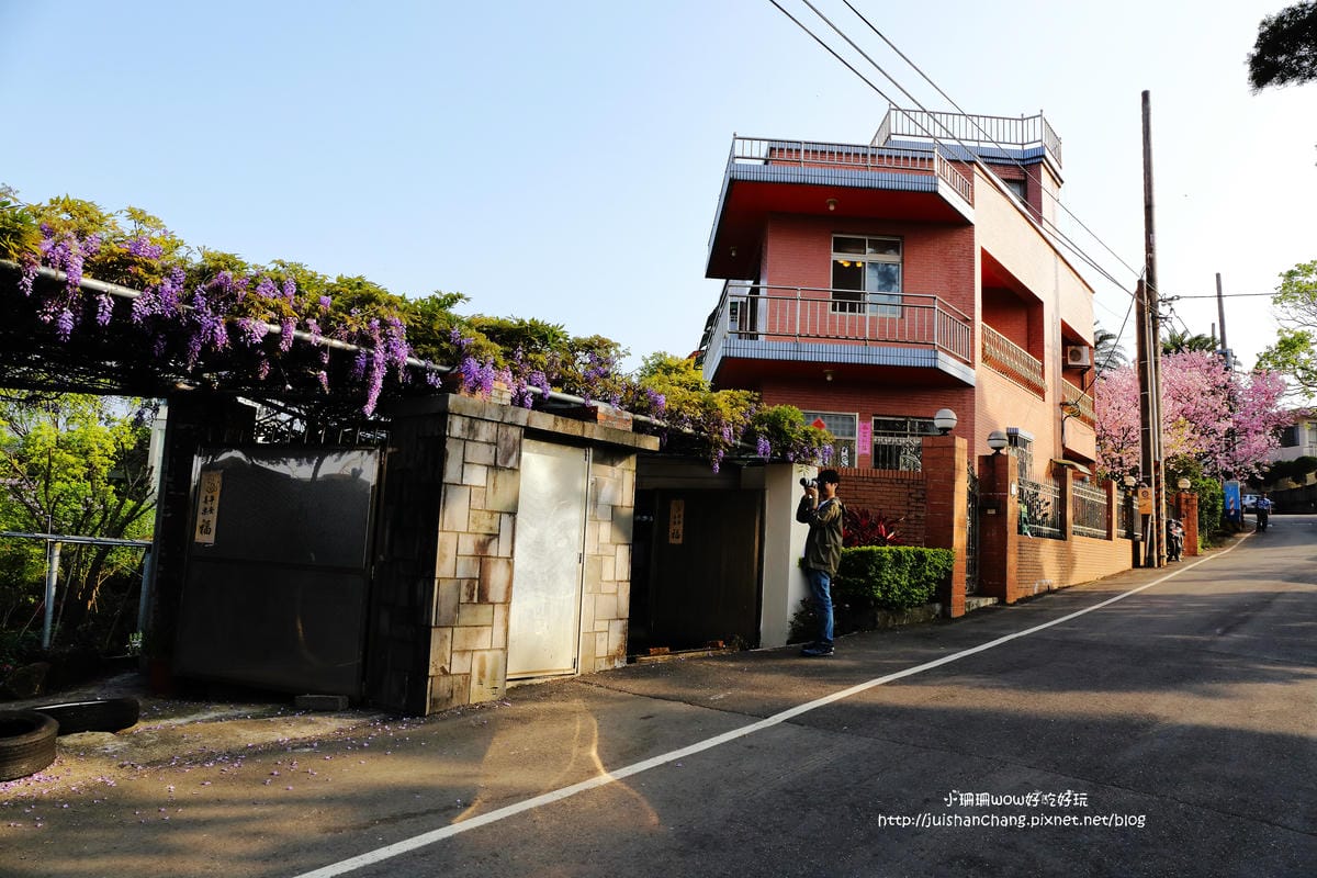 【遊。陽明山】東方寺～「櫻」姿煥發！吉野櫻、紫藤花盛開中，把握最後賞櫻時機！（105.4.7花況）　