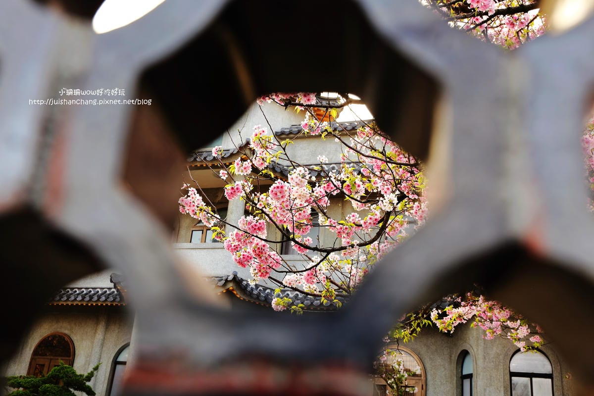 【遊。陽明山】東方寺～「櫻」姿煥發！吉野櫻、紫藤花盛開中，把握最後賞櫻時機！（105.4.7花況）　