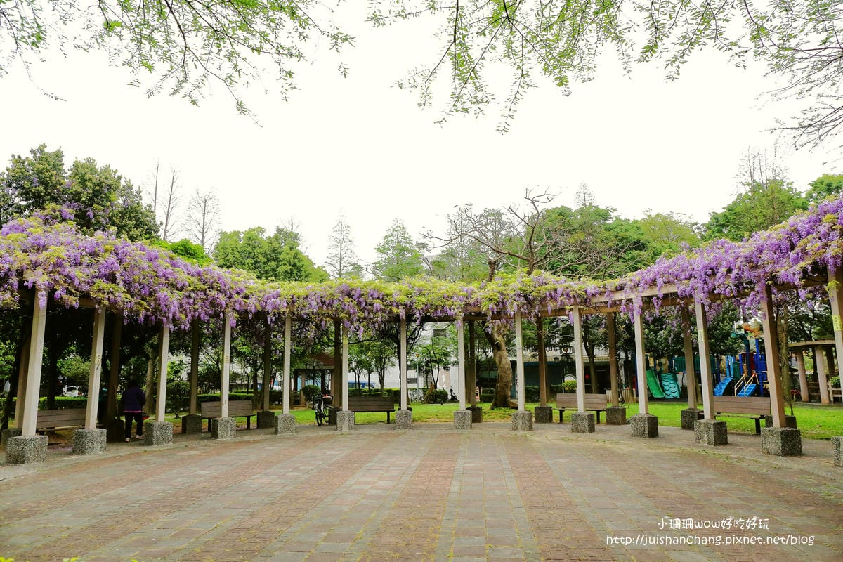 【遊║中壢】龍德公園&元生公園紫藤花～好美！中壢最漂亮的紫藤花賞花攻略大集合（105.4.9花況）　