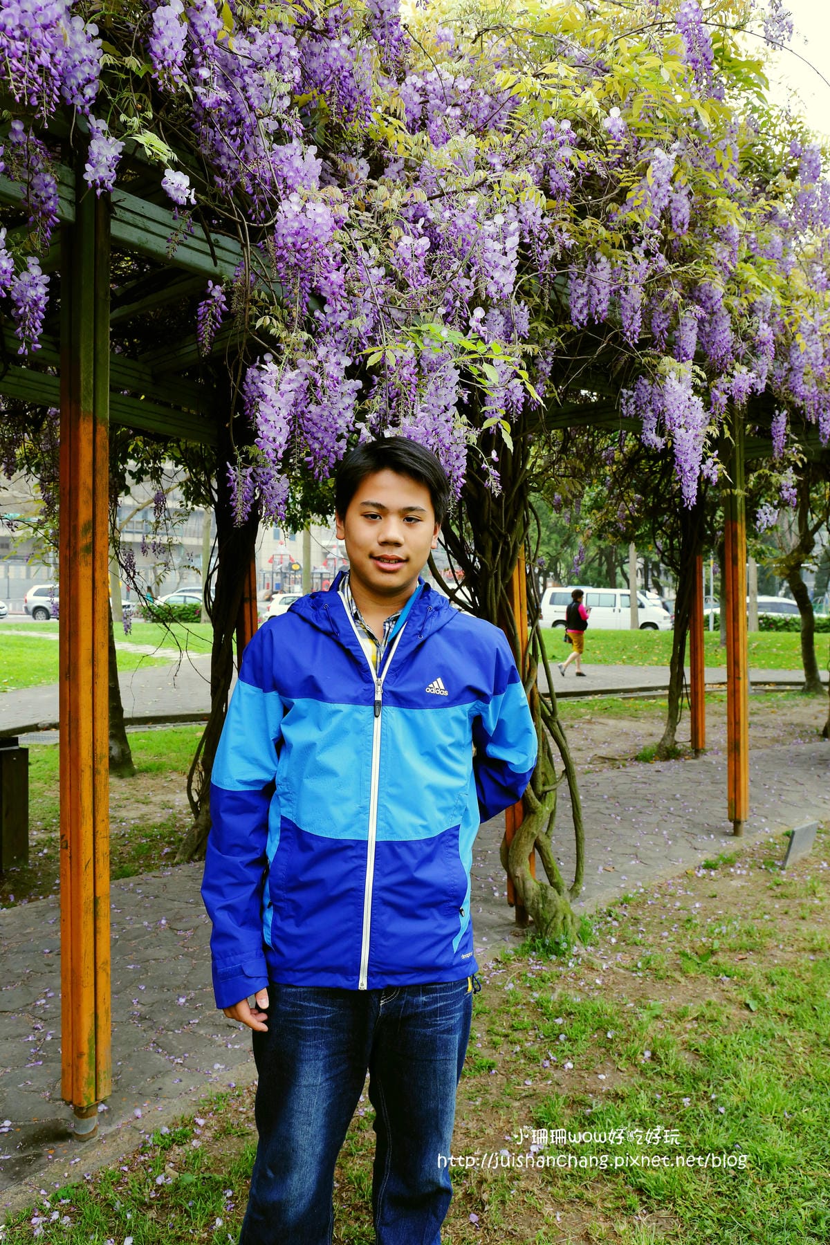 【遊║中壢】龍德公園&元生公園紫藤花～好美！中壢最漂亮的紫藤花賞花攻略大集合（105.4.9花況）　