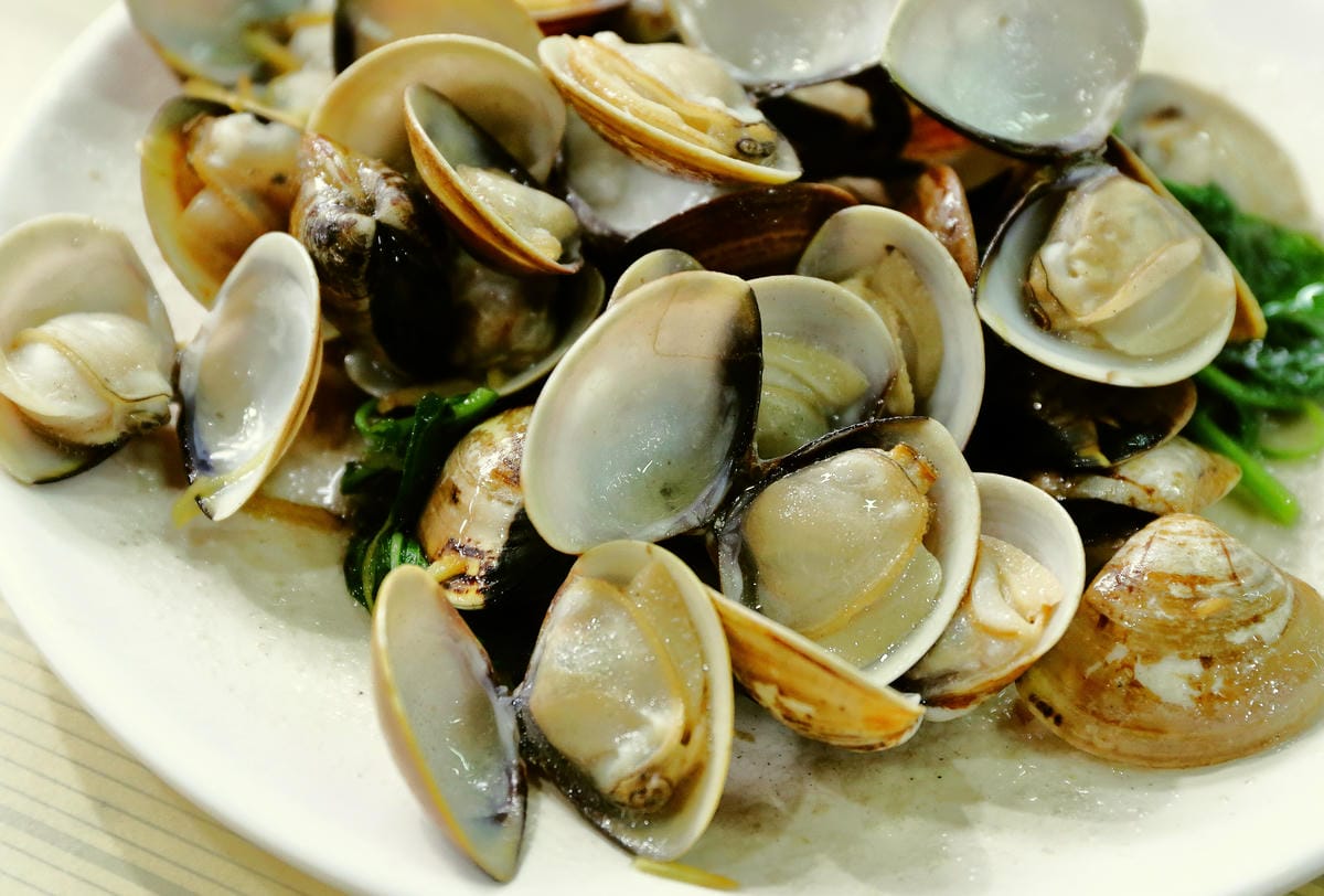 【遊||宜蘭】蘇澳港輕旅行〜祝大漁物產文創館、阿芬鮮魚湯、蘇澳媽黑糖糕，走過路過千萬不可錯過