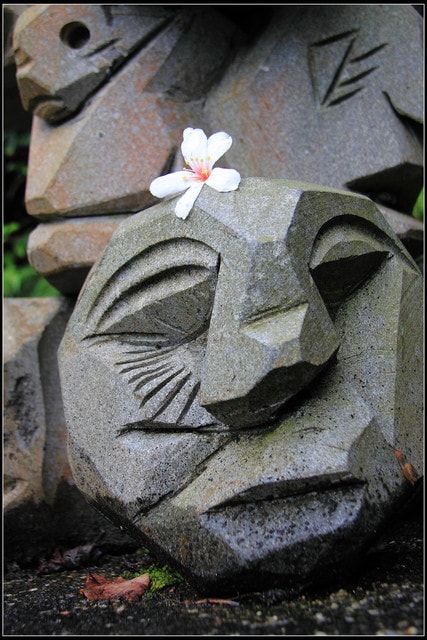 《2016桐花祭》全台賞桐景點,桐花飛雪大集合(懶人包)