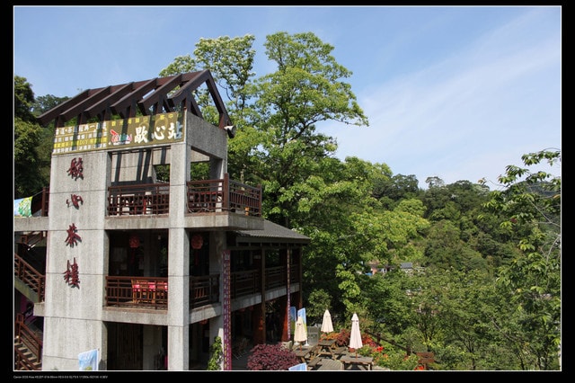 《2016桐花祭》全台賞桐景點,桐花飛雪大集合(懶人包)