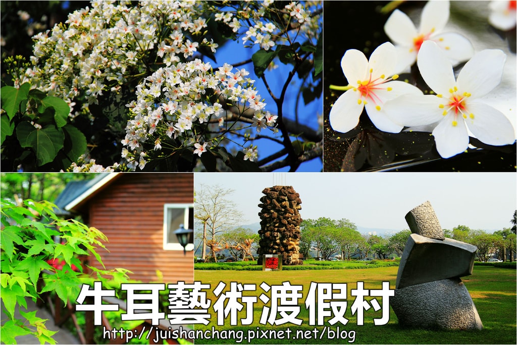 《2016桐花祭》全台賞桐景點,桐花飛雪大集合(懶人包)
