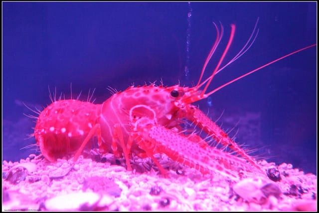 《宜蘭吃喝玩樂懶人包》雨天宜蘭就要醬玩～室內吃喝玩樂大人小孩一次滿足（108.02.26更新中）