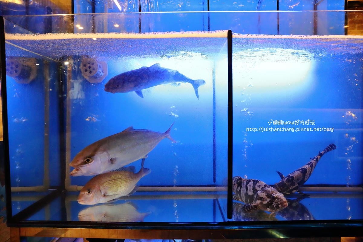 【食║三重】賴一下生猛海鮮〜新開店！隨便點都涮嘴的，超美味百元平價熱炒！