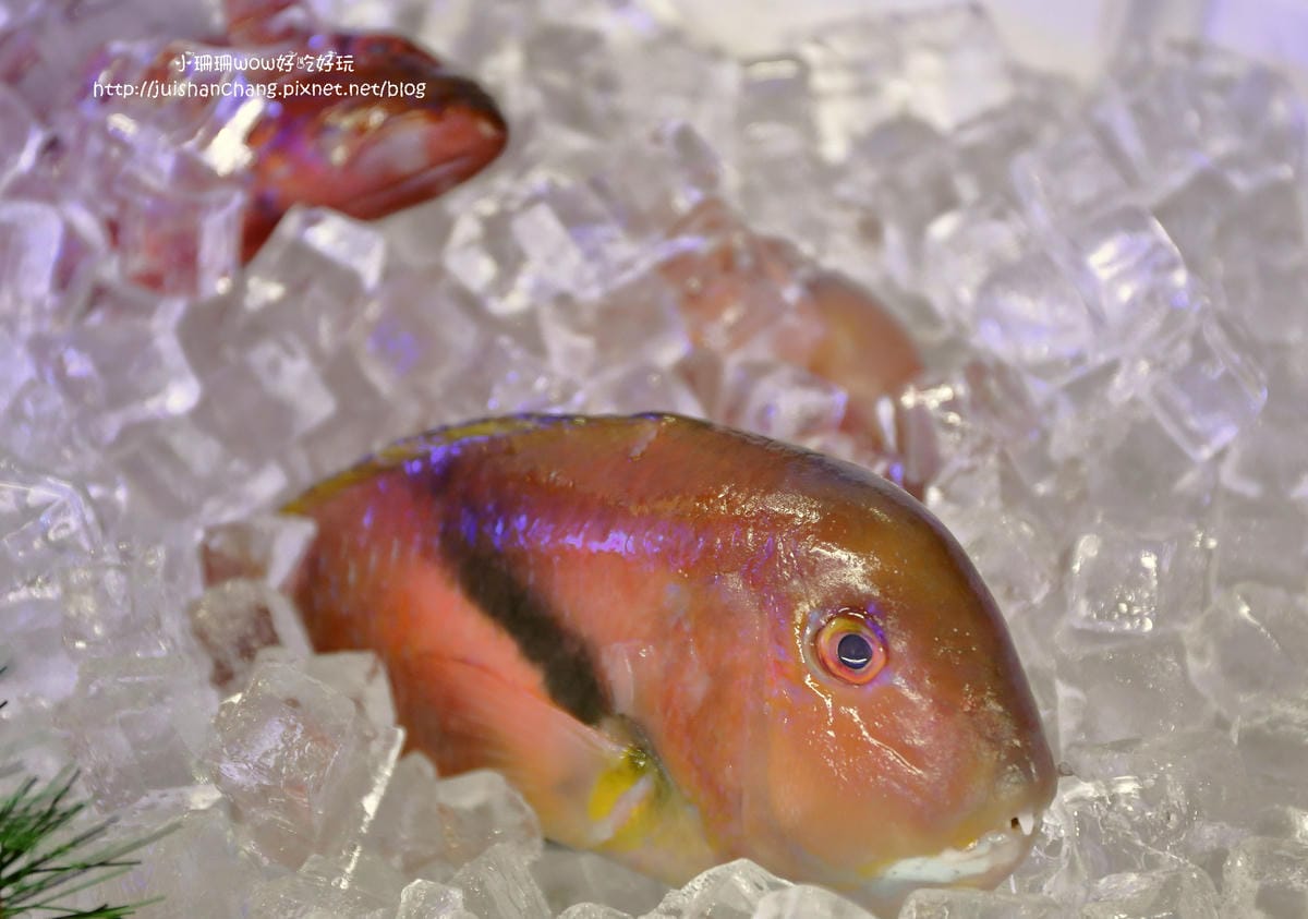 【食║三重】賴一下生猛海鮮〜新開店！隨便點都涮嘴的，超美味百元平價熱炒！