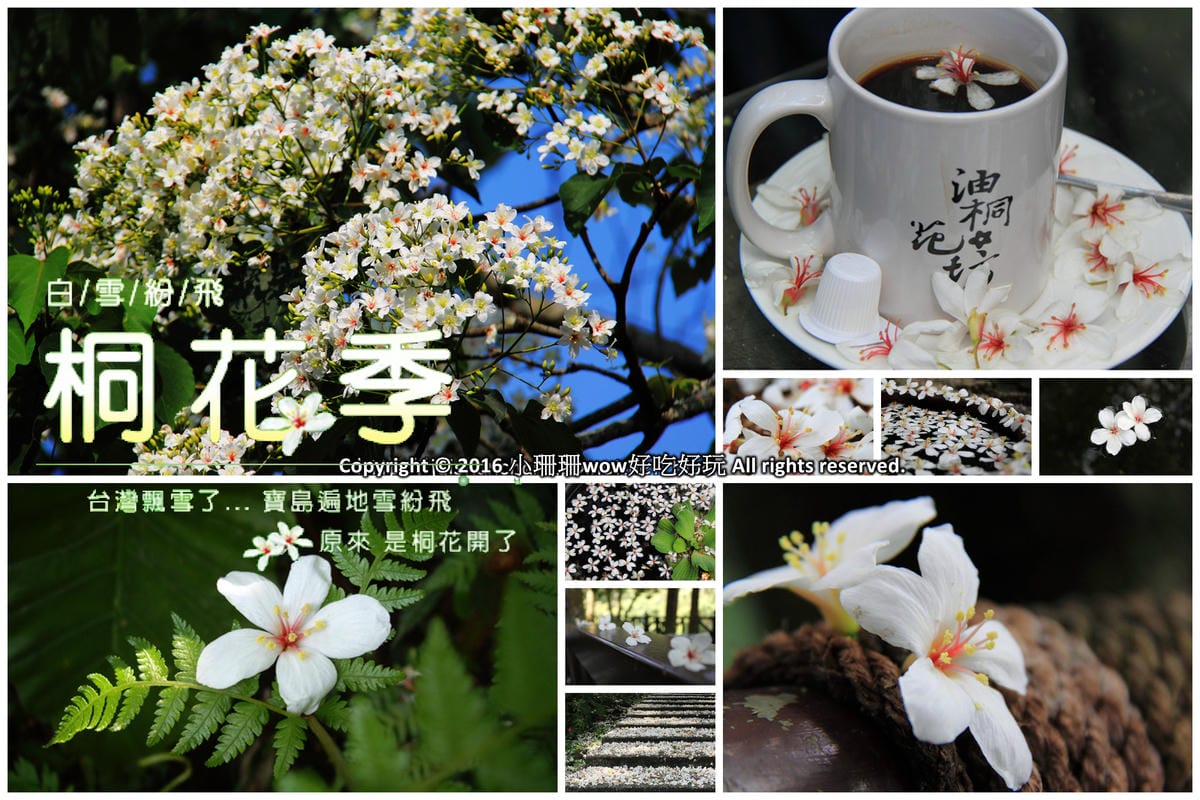 【特輯】母親節10間北部餐廳私心推薦！（懶人包）