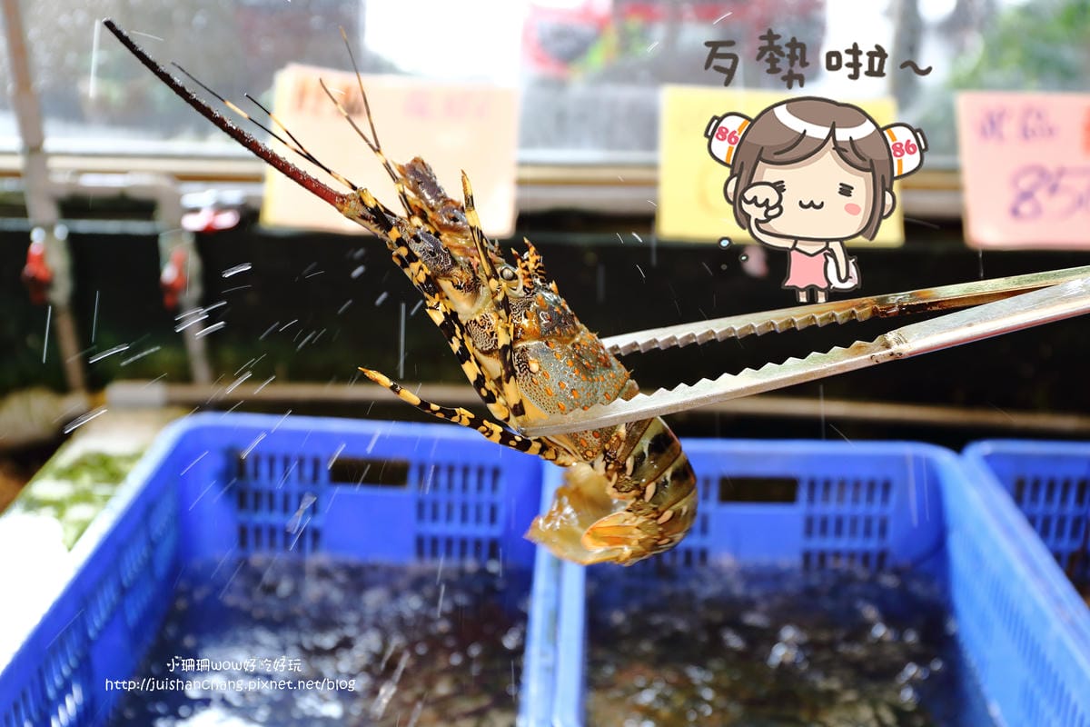 【食║花蓮】055龍蝦海鮮～看海景大啖新鮮活跳跳龍蝦！