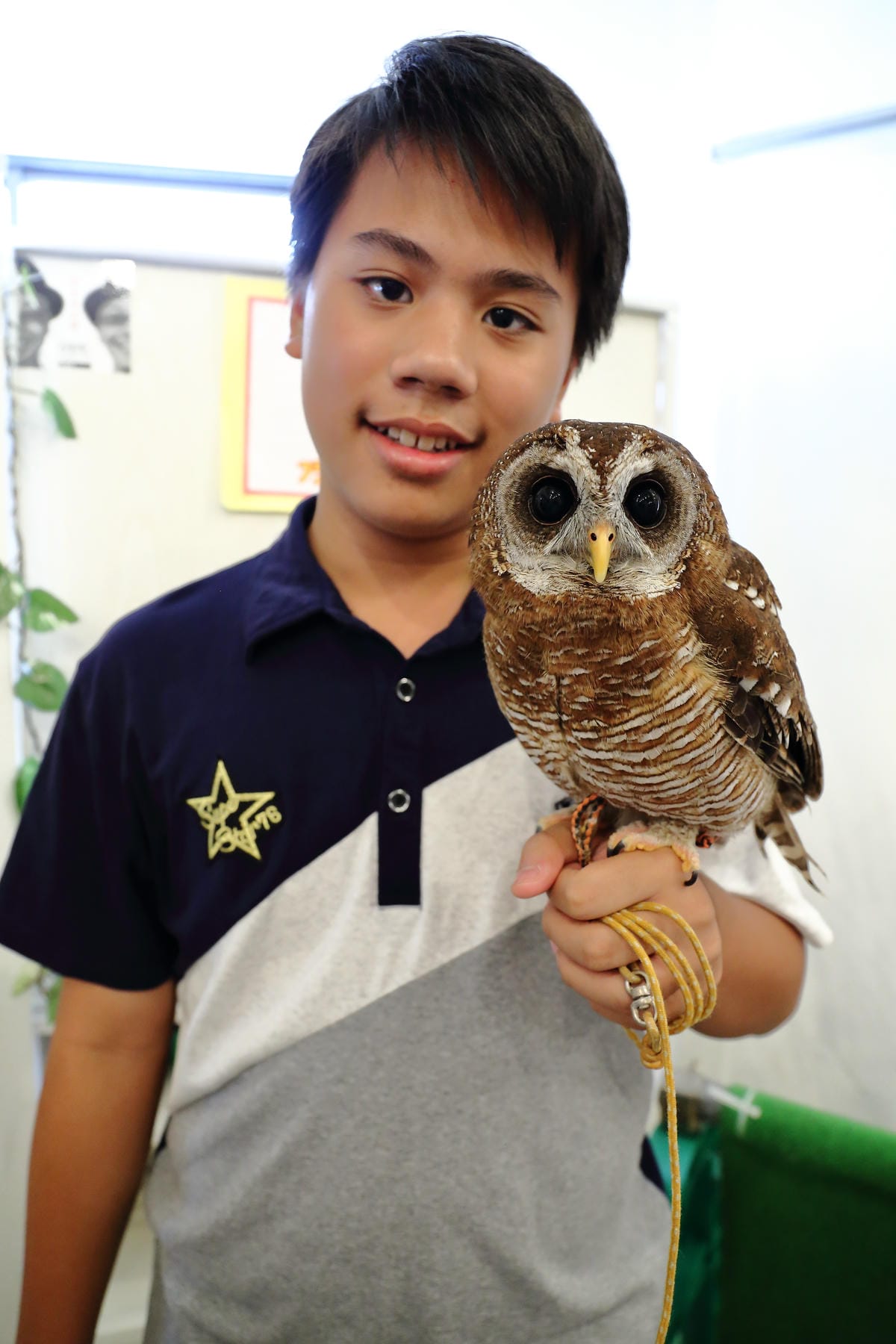 【遊||日本京阪】大阪京都5天4夜自由行〜行程彙整懶人包，適合第一次初體驗的朋友唷！