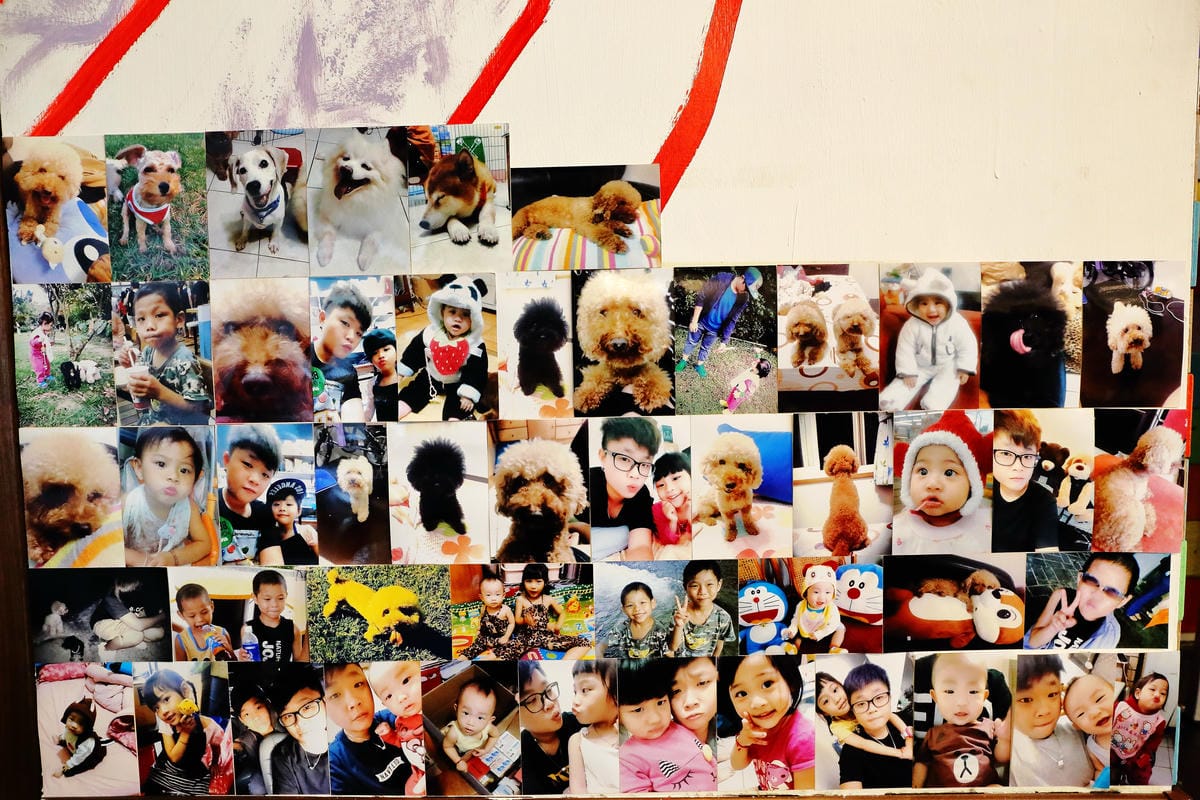 【食||中壢】D’coffee不拉花〜寵物友善咖啡廳，毛小孩的午茶時刻！