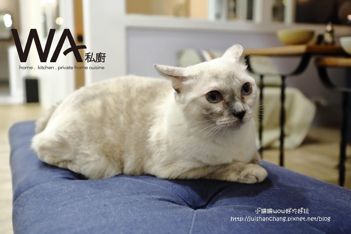 【食||台北】WA私廚〜隱身在老公寓的主廚創意私家饗宴，有如在自家享受專屬私廚款待！無菜單料理！道道都驚喜！（文末贈獎）　