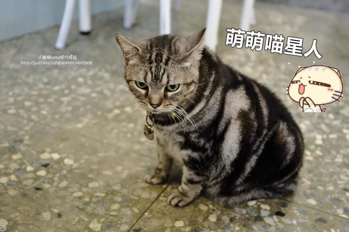 【食||台中】Omocha eki 具茶駛〜童趣公仔主題餐廳。那些年，我們一起玩的玩具，太全了！別說你没見過！