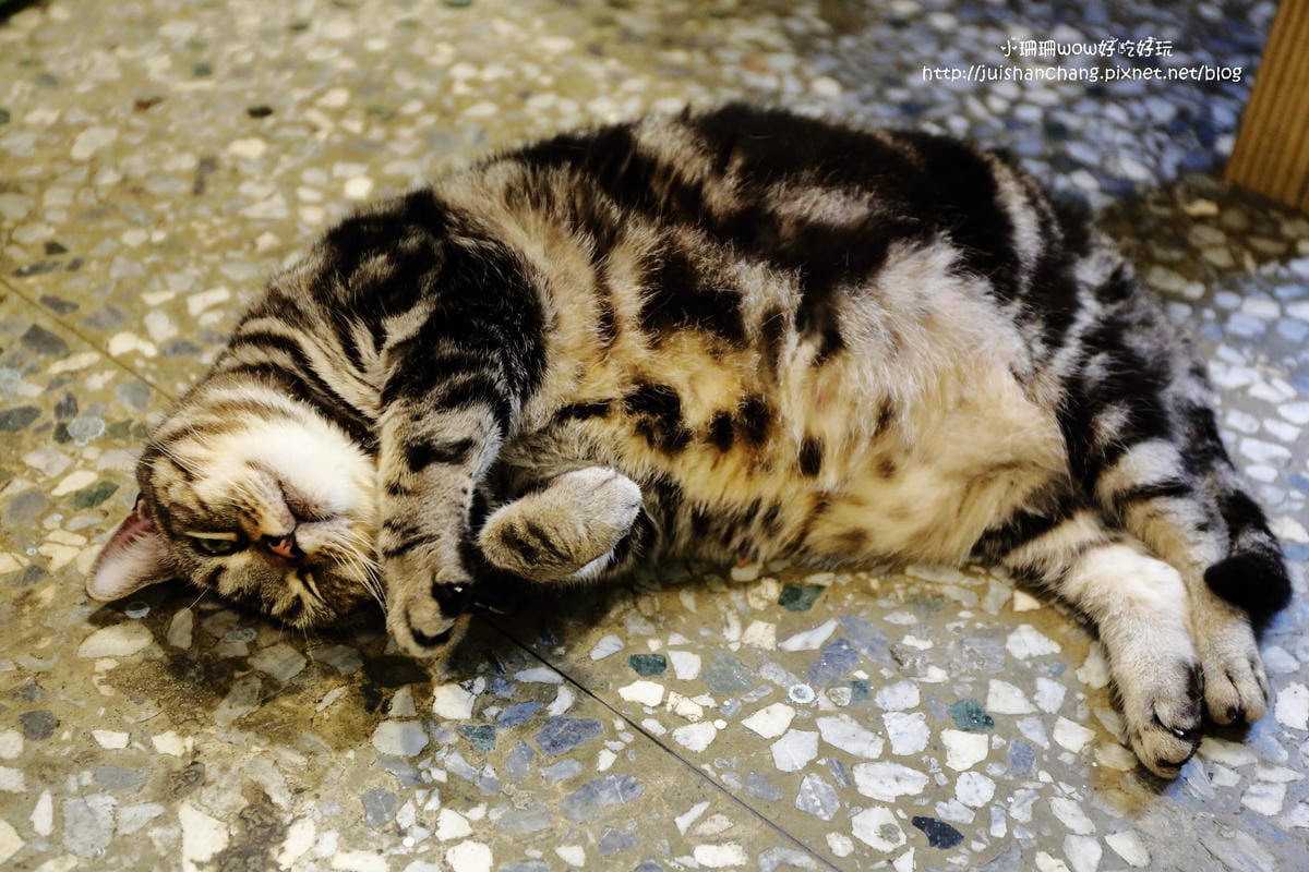 【食||台中】Omocha eki 具茶駛〜童趣公仔主題餐廳。那些年，我們一起玩的玩具，太全了！別說你没見過！