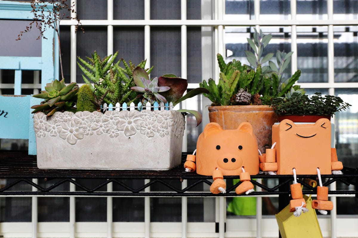 【遊||桃園】多肉市集VS阿貓龍貓車站咖啡廳〜桃園新景點！多肉控不可錯過！充滿日式雜貨風情的多肉創意市集（7/23、24熱鬧登場！）