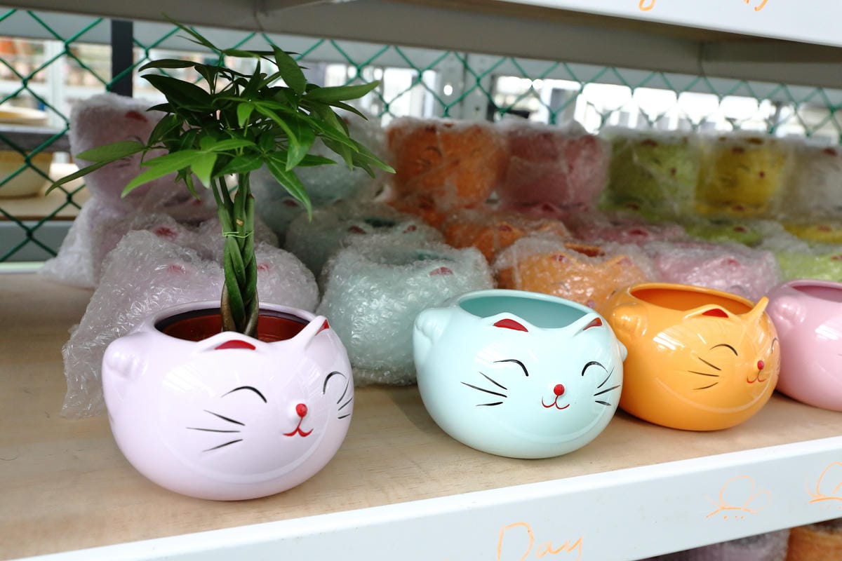 【遊||桃園】多肉市集VS阿貓龍貓車站咖啡廳〜桃園新景點！多肉控不可錯過！充滿日式雜貨風情的多肉創意市集（7/23、24熱鬧登場！）