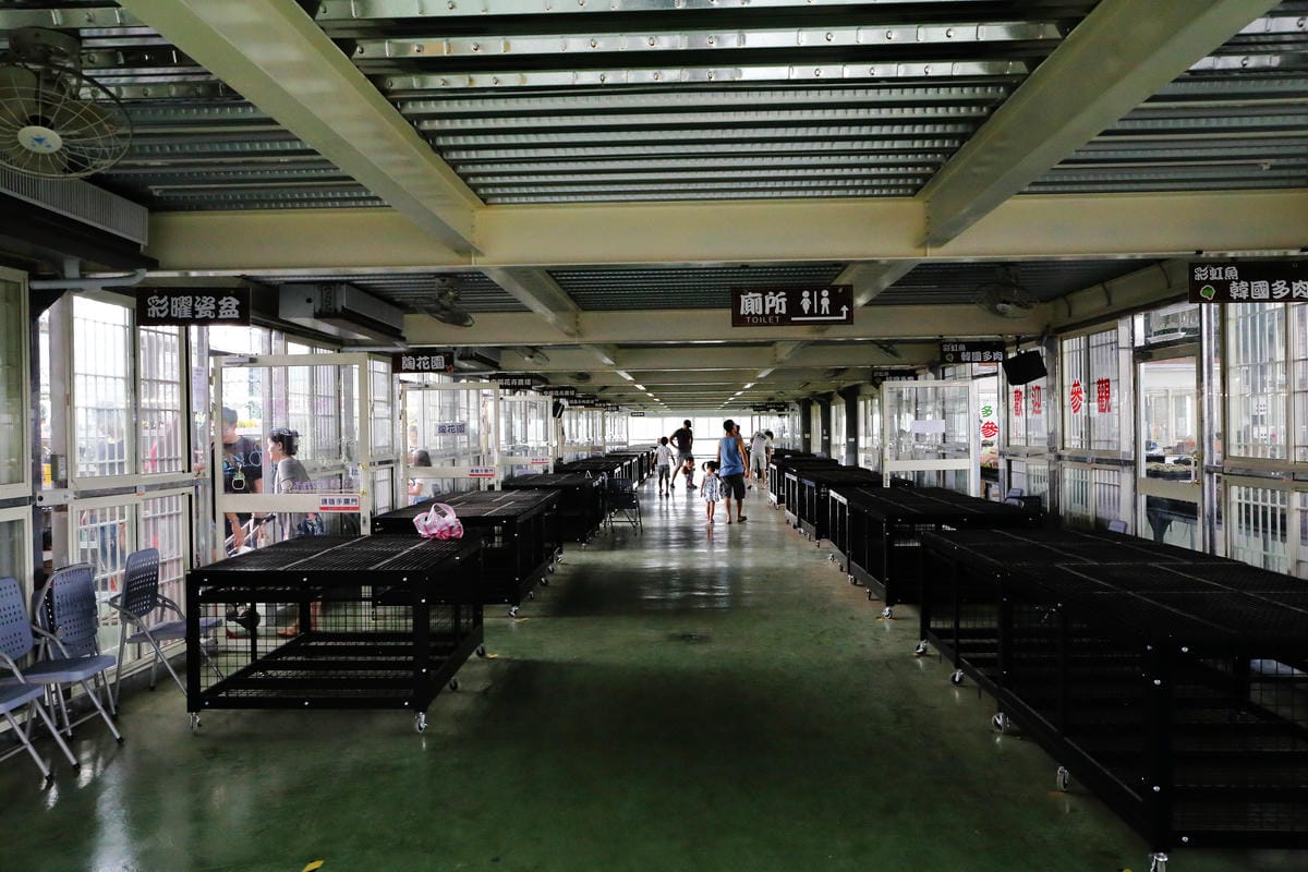 【遊||桃園】多肉市集VS阿貓龍貓車站咖啡廳〜桃園新景點！多肉控不可錯過！充滿日式雜貨風情的多肉創意市集（7/23、24熱鬧登場！）