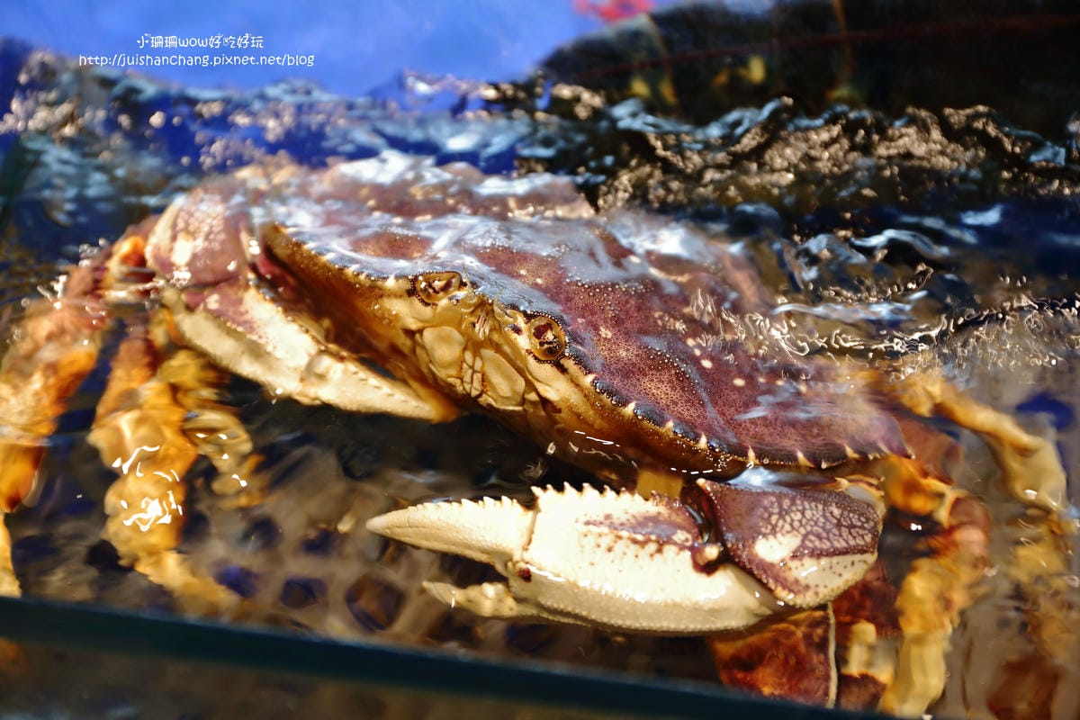 【食||台中】三次魚屋河南店〜老饕最愛，平價也能吃到CP超高的五星級日式料理！