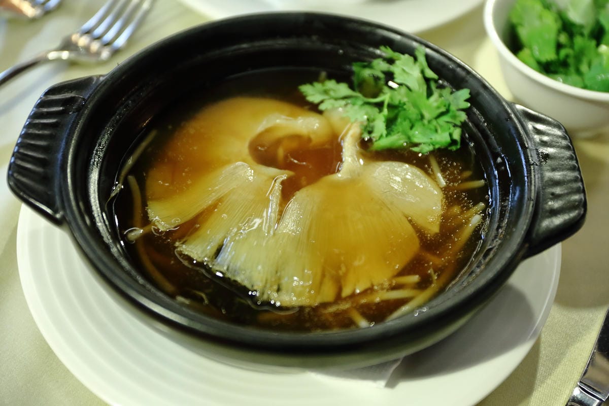 【食||台北】鼎極魚翅〜負擔得起的奢華享受，高貴不貴台北魚翅餐廳