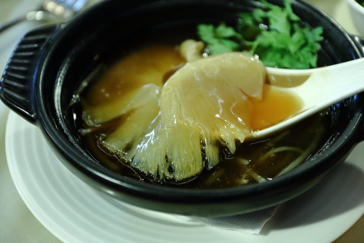 【食||台北】鼎極魚翅〜負擔得起的奢華享受，高貴不貴台北魚翅餐廳