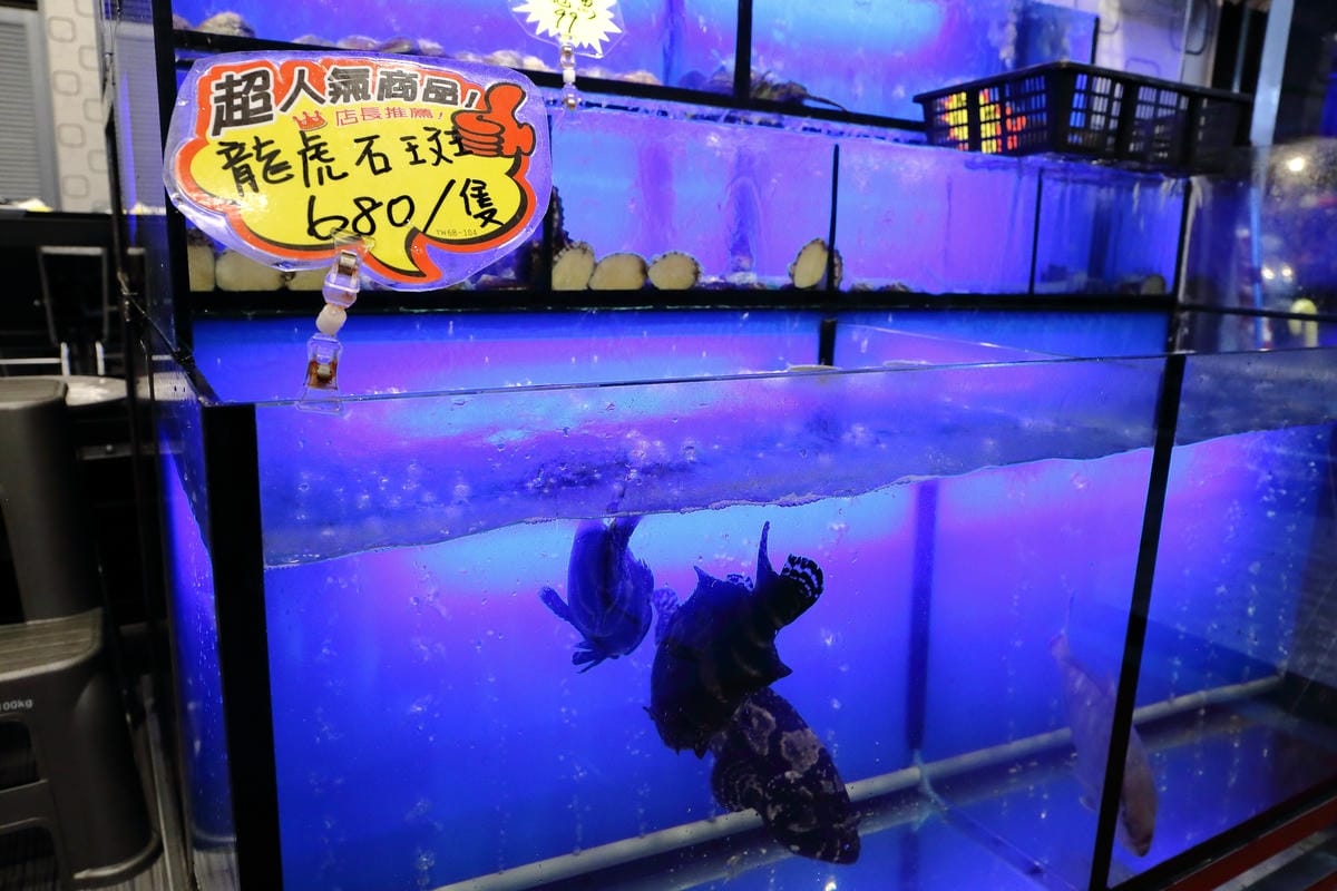 【食||板橋】蒸霸天下〜新開幕！板橋蒸氣海鮮料理，品嚐新鮮食材鮮味在舌尖的感動，就盡情的『蒸』吧！