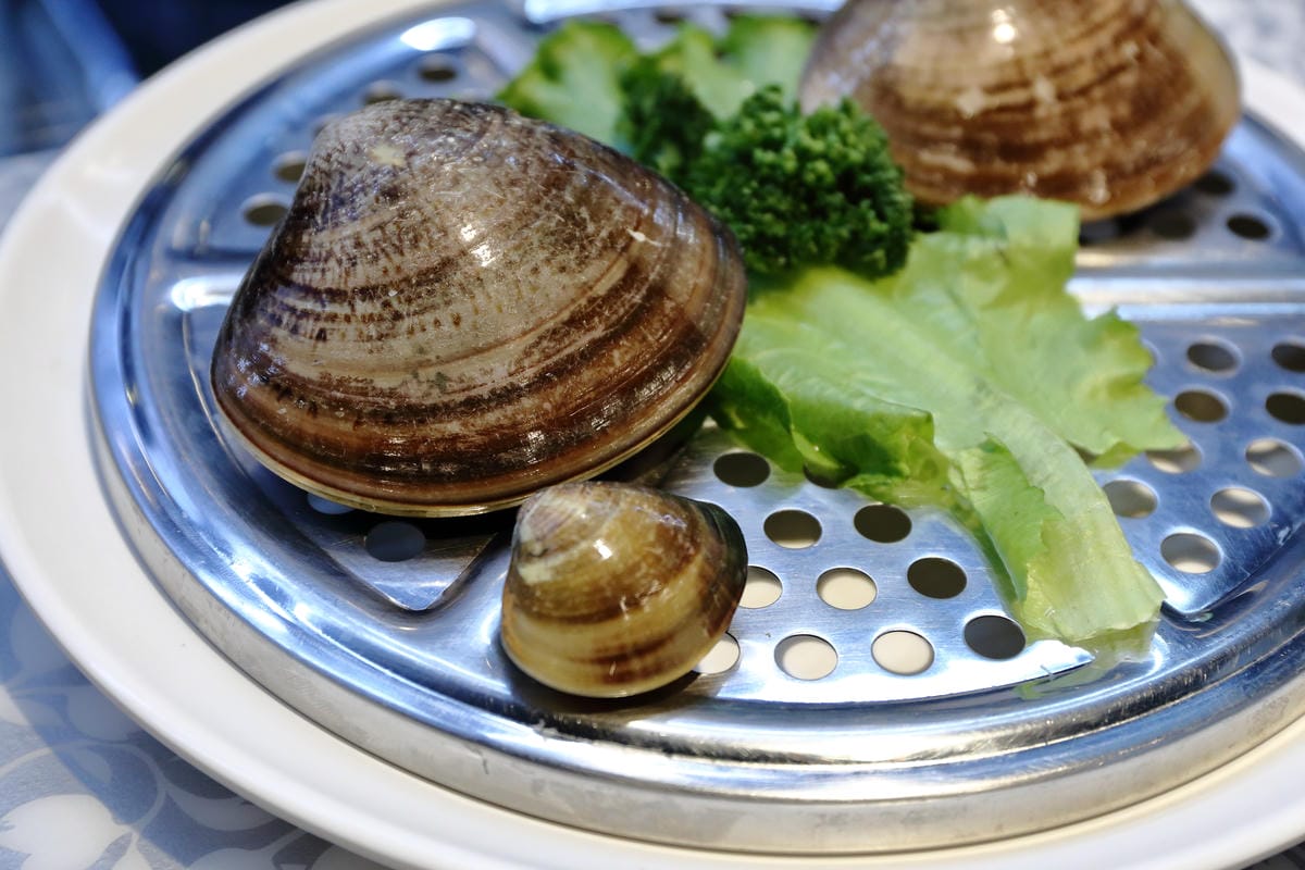 【食||板橋】蒸霸天下〜新開幕！板橋蒸氣海鮮料理，品嚐新鮮食材鮮味在舌尖的感動，就盡情的『蒸』吧！