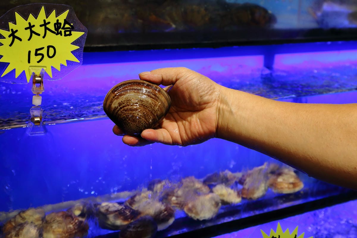 【食||板橋】蒸霸天下〜新開幕！板橋蒸氣海鮮料理，品嚐新鮮食材鮮味在舌尖的感動，就盡情的『蒸』吧！