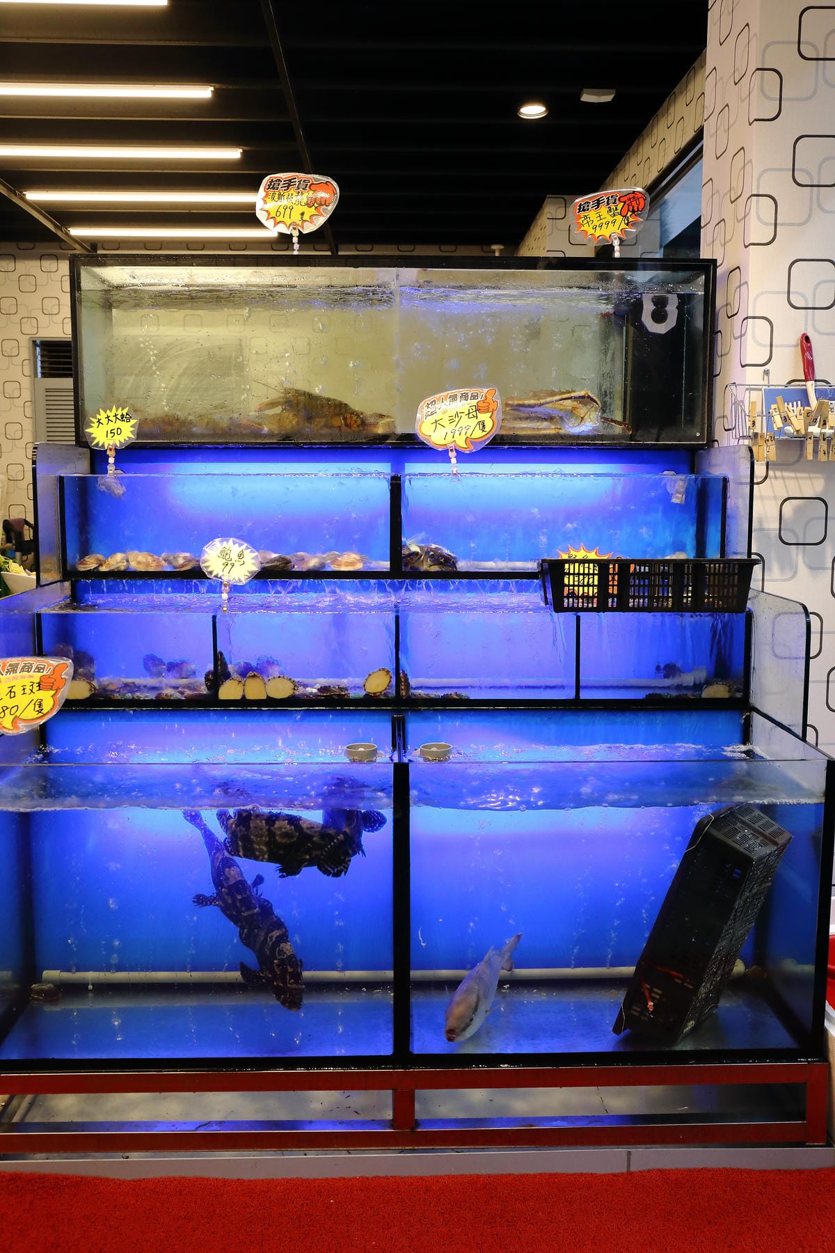 【食||板橋】蒸霸天下〜新開幕！板橋蒸氣海鮮料理，品嚐新鮮食材鮮味在舌尖的感動，就盡情的『蒸』吧！