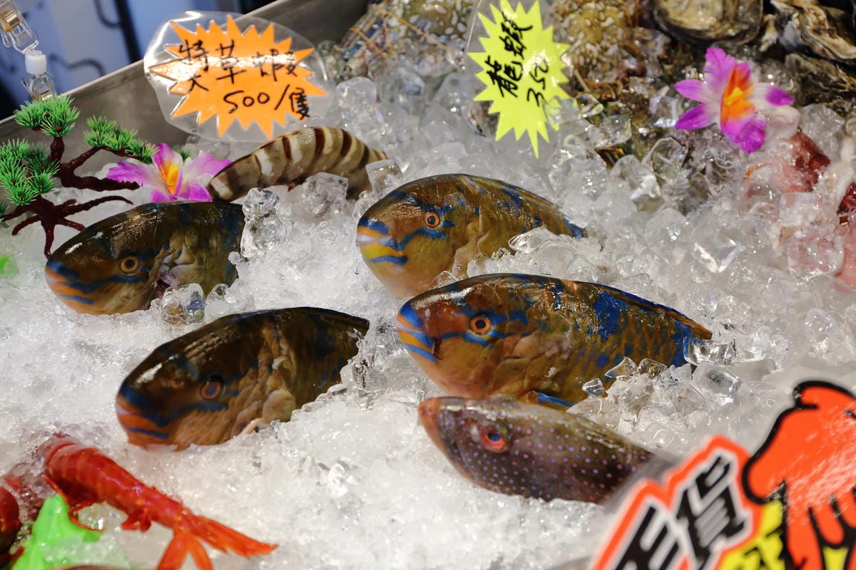 【食||板橋】蒸霸天下〜新開幕！板橋蒸氣海鮮料理，品嚐新鮮食材鮮味在舌尖的感動，就盡情的『蒸』吧！