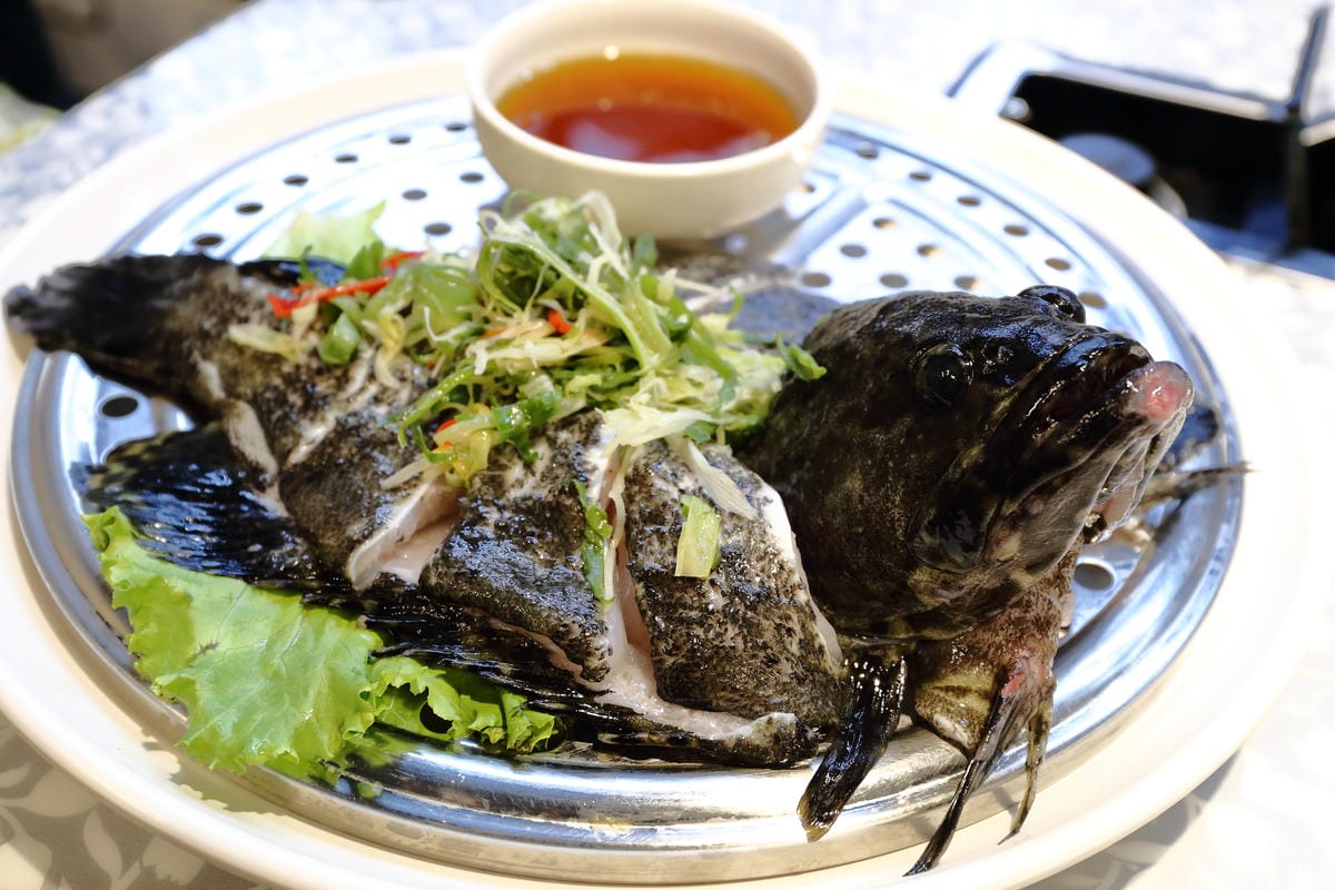 【食||板橋】蒸霸天下〜新開幕！板橋蒸氣海鮮料理，品嚐新鮮食材鮮味在舌尖的感動，就盡情的『蒸』吧！