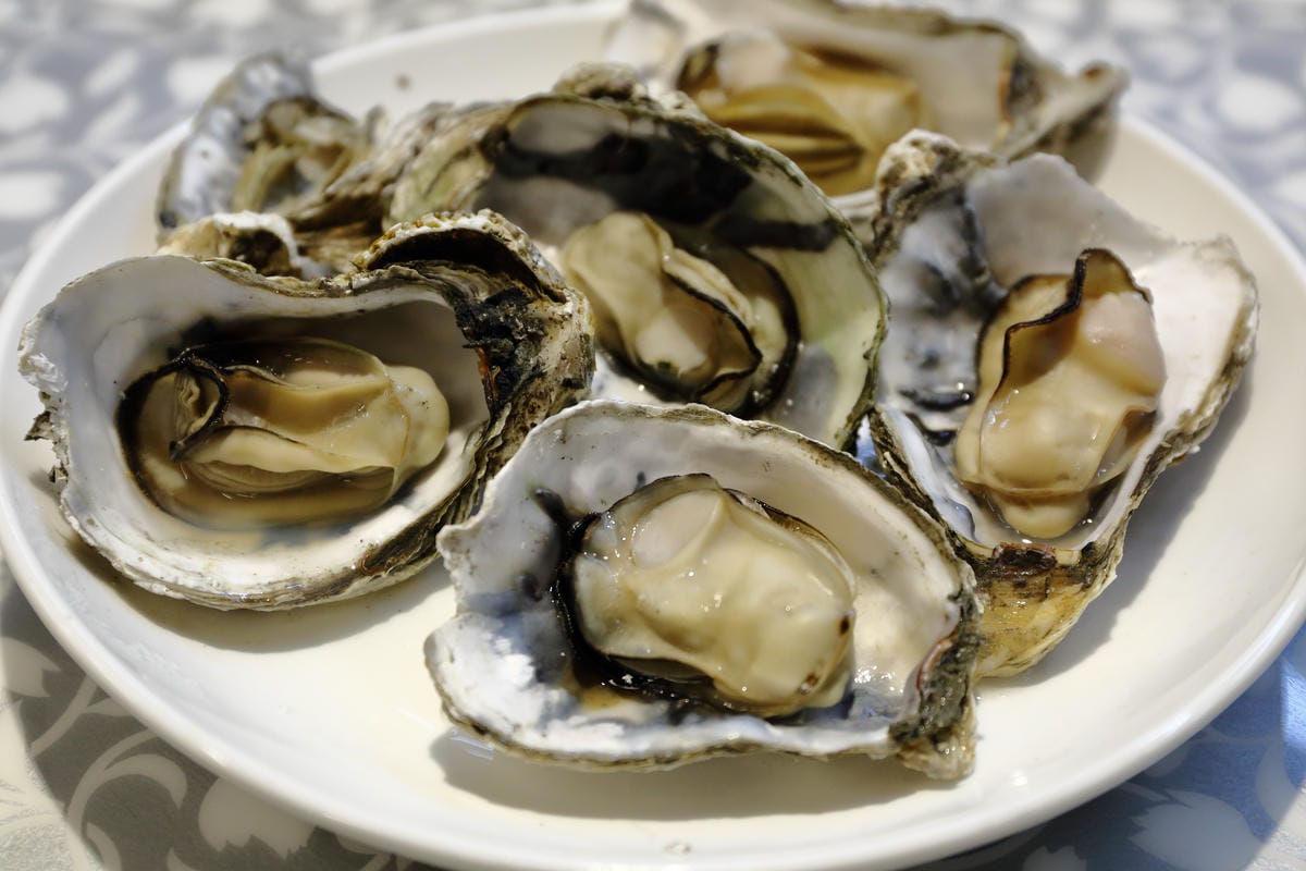 【食||板橋】蒸霸天下〜新開幕！板橋蒸氣海鮮料理，品嚐新鮮食材鮮味在舌尖的感動，就盡情的『蒸』吧！