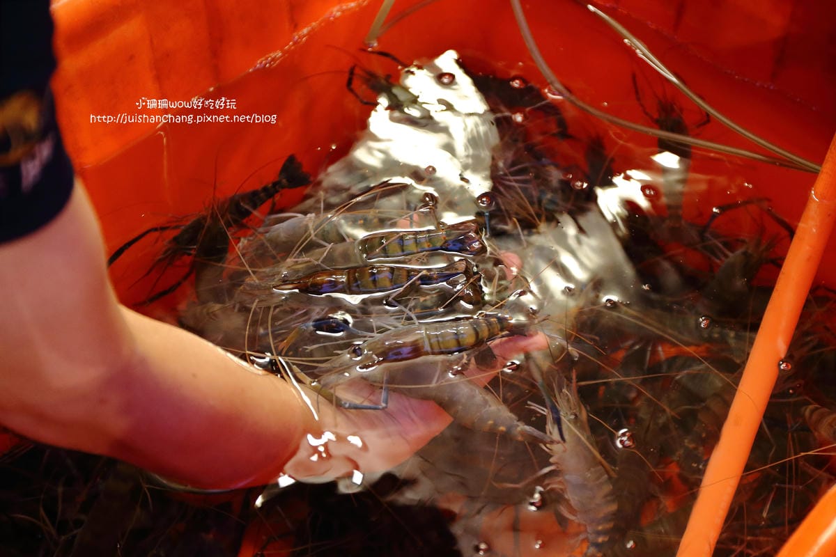 【食||台北】燒蝦〜大同區延平北路/活蝦居酒屋。活泰國蝦現點現撈，蝦子控的天堂！