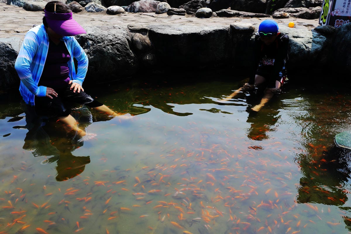 【遊||萬里】2016翡翠灣夏日樂園〜這麼熱不玩水是要幹嘛呢？北海岸玩水趣，清涼一夏！