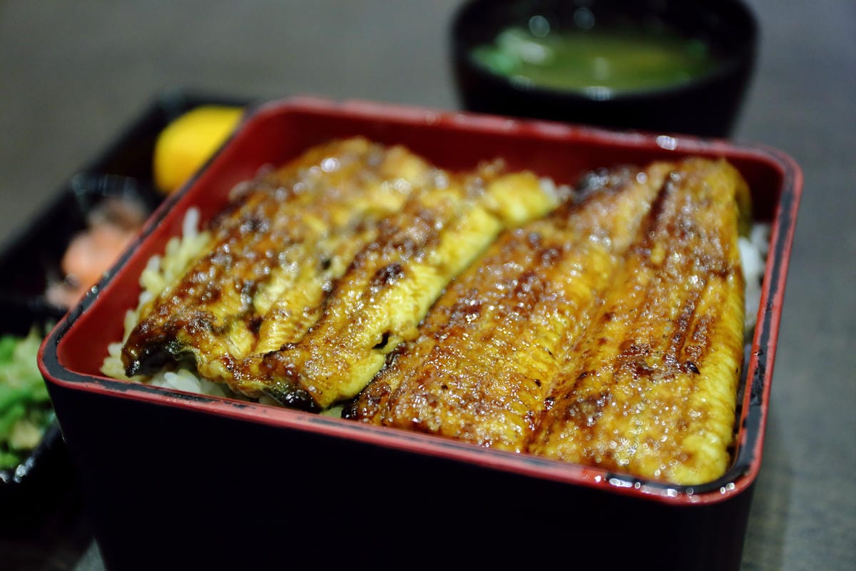 【食||台北】御成町浪漫鰻屋〜食尚玩家推薦。多樣鰻魚創意料理，原來鰻魚也可以這樣吃！