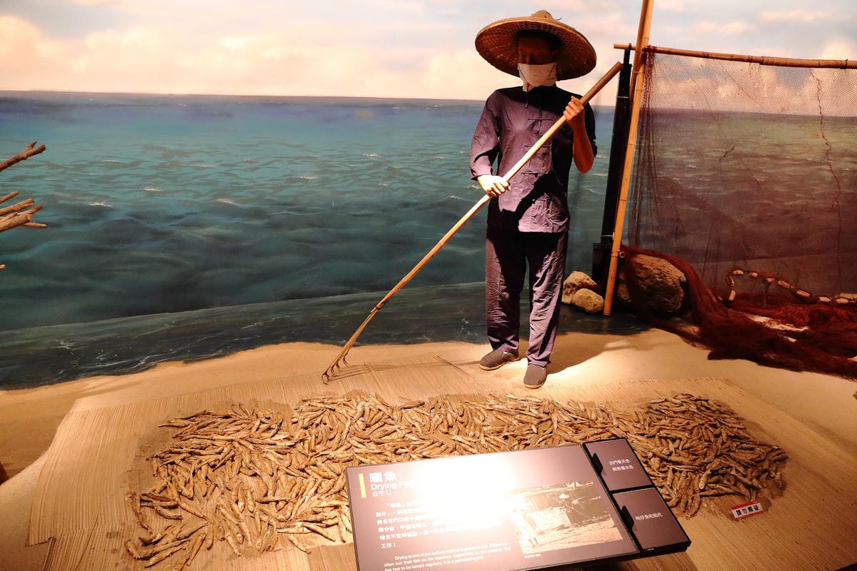 【遊||基隆】小小漁夫漁村體驗活動〜小小漁夫『摸魚趣』！探訪臺灣農漁村生活之美為核心，體驗漁民與海掙食的樂趣與甘苦！