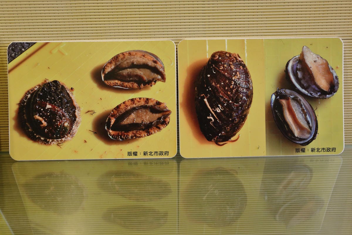 【遊||基隆】小小漁夫漁村體驗活動〜小小漁夫『摸魚趣』！探訪臺灣農漁村生活之美為核心，體驗漁民與海掙食的樂趣與甘苦！