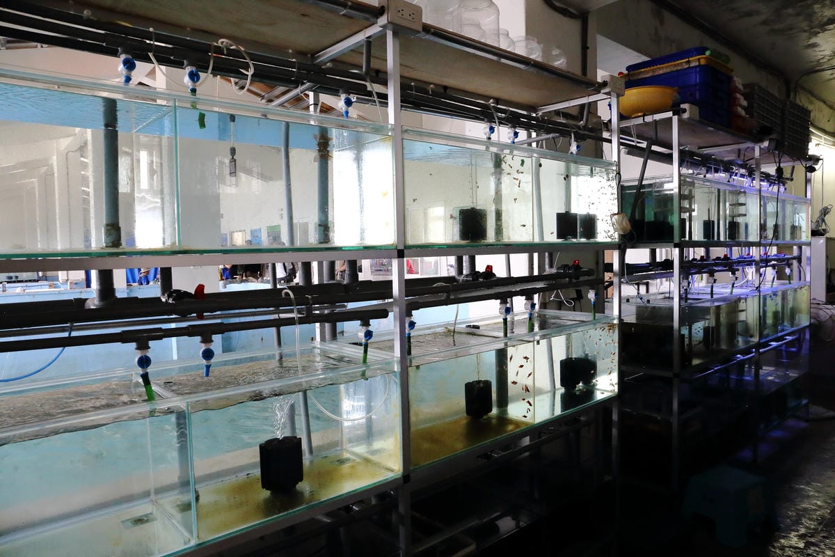 【遊||基隆】小小漁夫漁村體驗活動〜小小漁夫『摸魚趣』！探訪臺灣農漁村生活之美為核心，體驗漁民與海掙食的樂趣與甘苦！