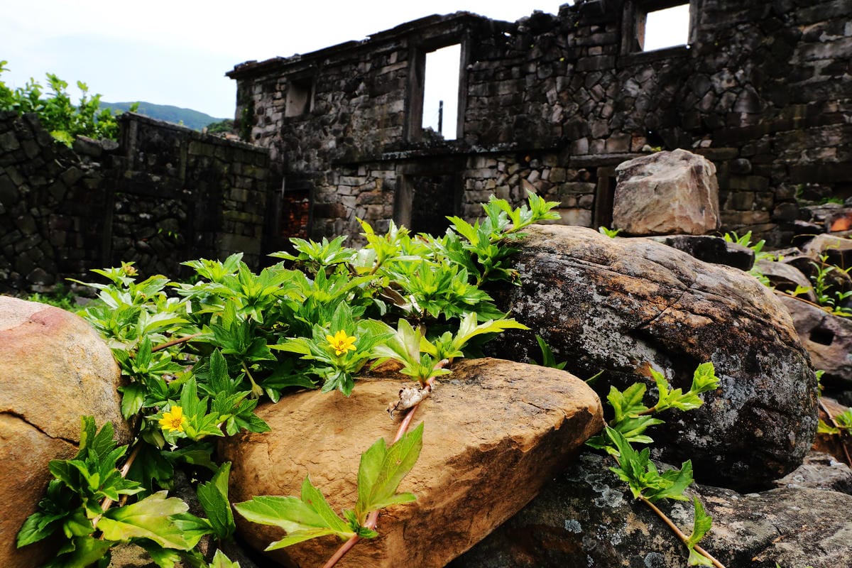 【遊||基隆】小小漁夫漁村體驗活動〜小小漁夫『摸魚趣』！探訪臺灣農漁村生活之美為核心，體驗漁民與海掙食的樂趣與甘苦！