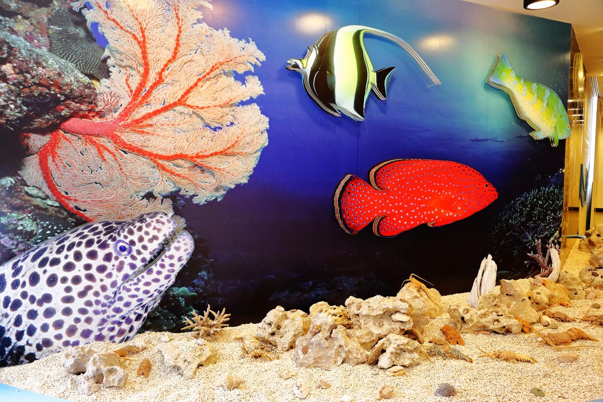 【遊||基隆】小小漁夫漁村體驗活動〜小小漁夫『摸魚趣』！探訪臺灣農漁村生活之美為核心，體驗漁民與海掙食的樂趣與甘苦！