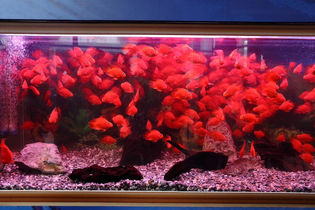 【遊||基隆】小小漁夫漁村體驗活動〜小小漁夫『摸魚趣』！探訪臺灣農漁村生活之美為核心，體驗漁民與海掙食的樂趣與甘苦！