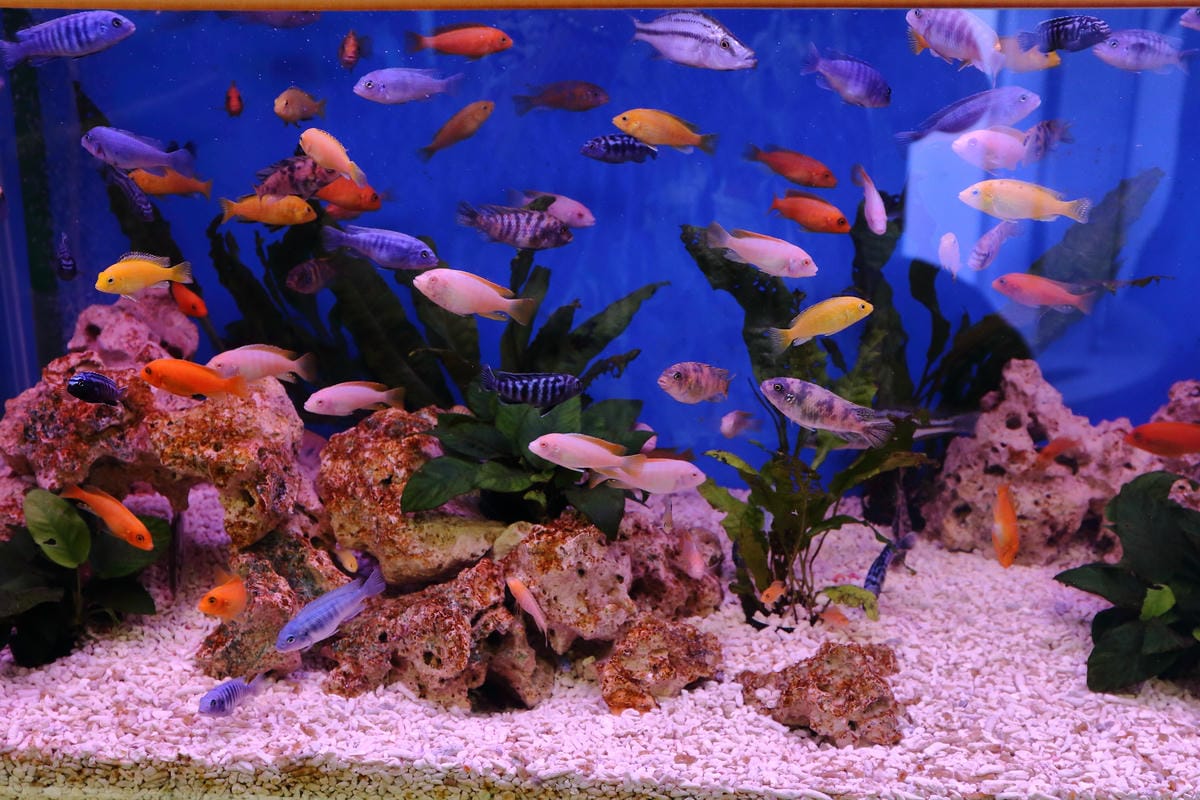 【遊||基隆】小小漁夫漁村體驗活動〜小小漁夫『摸魚趣』！探訪臺灣農漁村生活之美為核心，體驗漁民與海掙食的樂趣與甘苦！