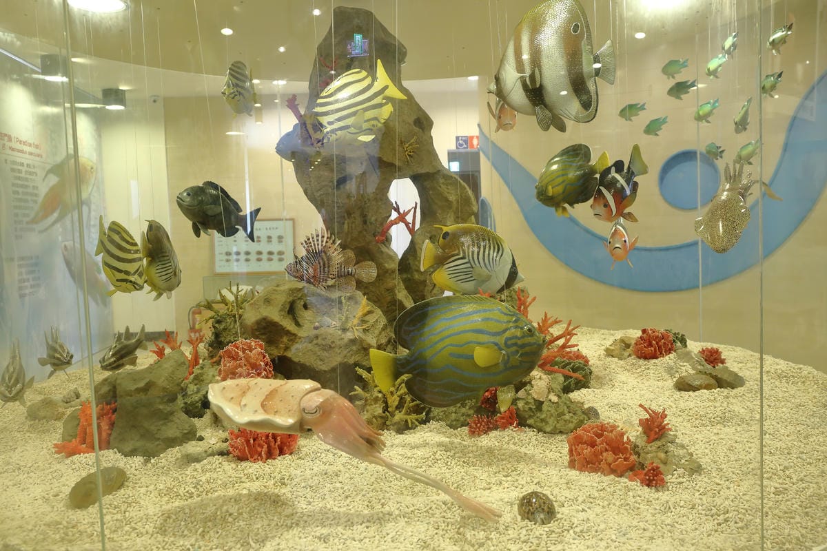 【遊||基隆】小小漁夫漁村體驗活動〜小小漁夫『摸魚趣』！探訪臺灣農漁村生活之美為核心，體驗漁民與海掙食的樂趣與甘苦！