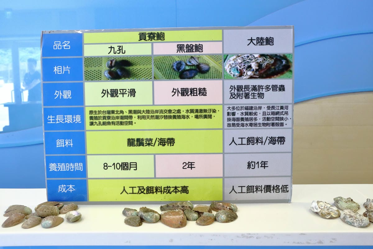 【遊||基隆】小小漁夫漁村體驗活動〜小小漁夫『摸魚趣』！探訪臺灣農漁村生活之美為核心，體驗漁民與海掙食的樂趣與甘苦！