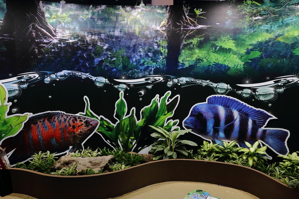 【遊||基隆】小小漁夫漁村體驗活動〜小小漁夫『摸魚趣』！探訪臺灣農漁村生活之美為核心，體驗漁民與海掙食的樂趣與甘苦！