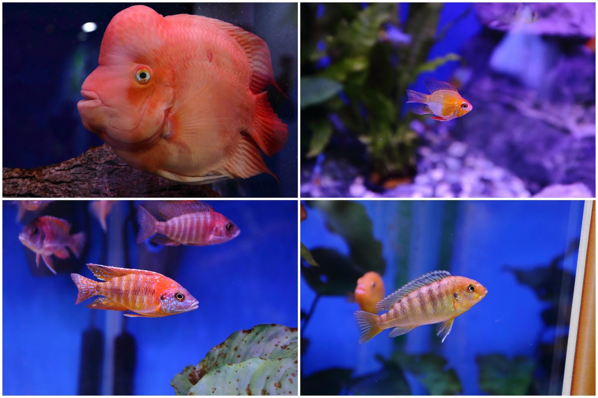 【遊||基隆】小小漁夫漁村體驗活動〜小小漁夫『摸魚趣』！探訪臺灣農漁村生活之美為核心，體驗漁民與海掙食的樂趣與甘苦！