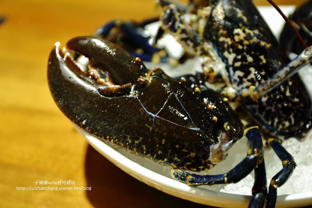 【食||台北】大釧鍋物〜懸賞5億貝里『藍波龍蝦』緝捕歸案？！主打活海鮮，新鮮看得見，頂級食材，高貴不貴的享受！