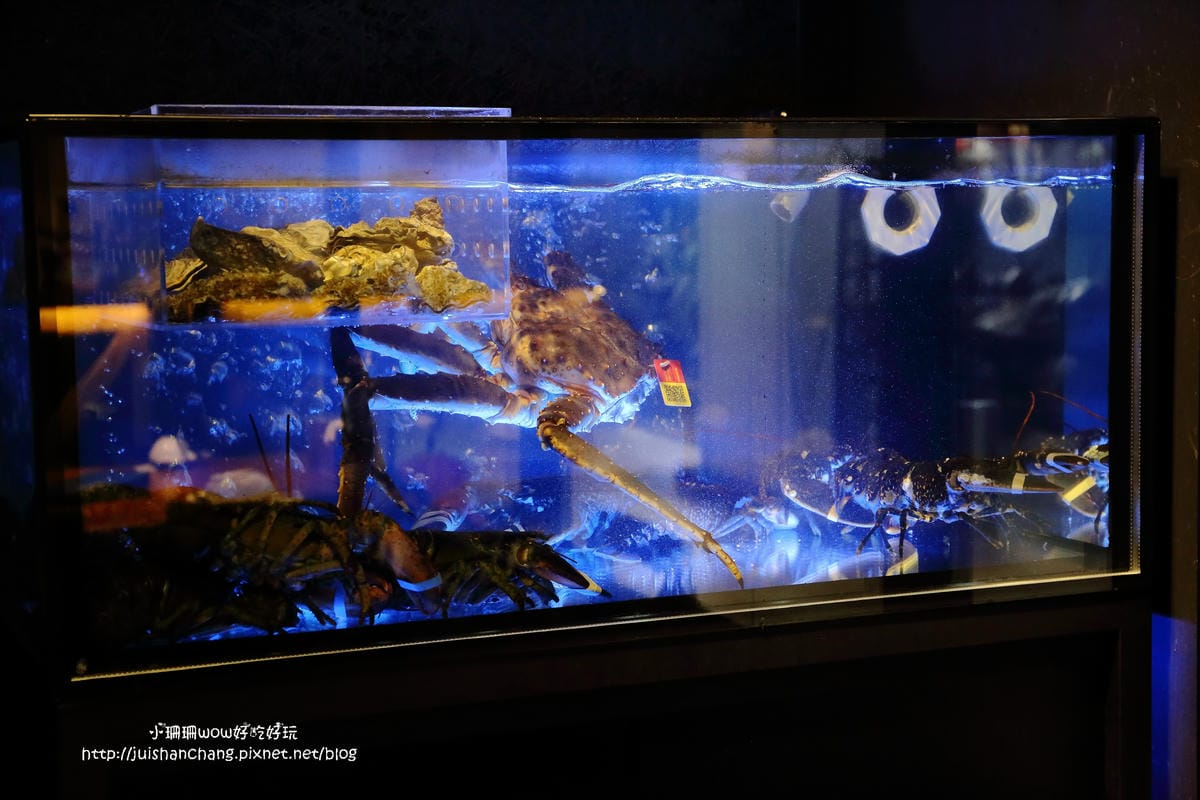 【食||台北】大釧鍋物〜懸賞5億貝里『藍波龍蝦』緝捕歸案？！主打活海鮮，新鮮看得見，頂級食材，高貴不貴的享受！